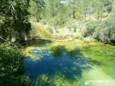 Hoz del Río Escabas - Serranía de Cuenca (Senderismo refrescante);rutas madrid a pie club escalada